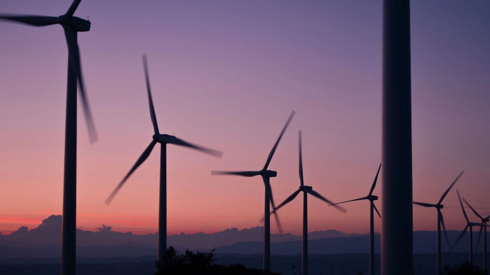 A row of wind turbines turn in the wind as the sunsets in a display of pink and purple sky's.